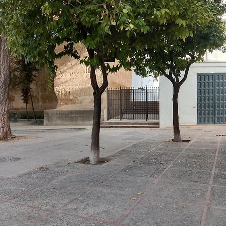 Casa amurallada MNueLa , wifi, garage opcional Jerez de la Frontera Exterior foto
