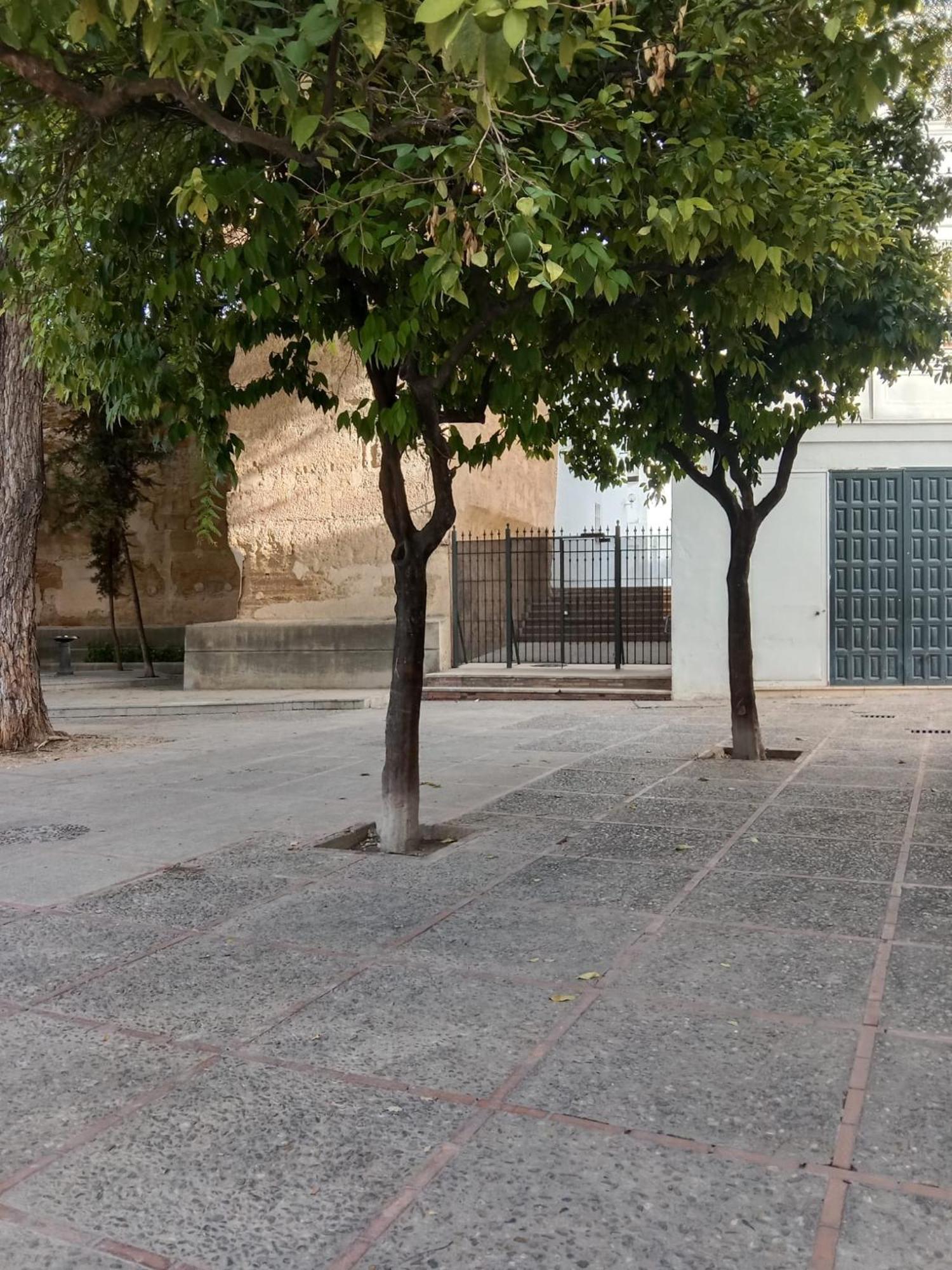 Casa amurallada MNueLa , wifi, garage opcional Jerez de la Frontera Exterior foto